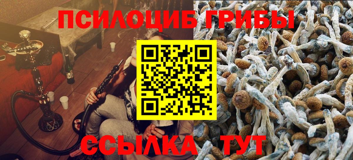 Чехов  Псилоцибиновые грибы Magic Shrooms  Вход с VPN  Псилоцибиновые грибы прущие грибы 